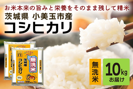 無洗米 コシヒカリ 10kg こしひかり 米 白米 茨城県産 お弁当 おにぎり エコ 47-K