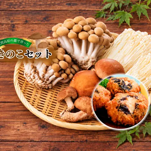 きのこ 志賀高原 セット きのこ