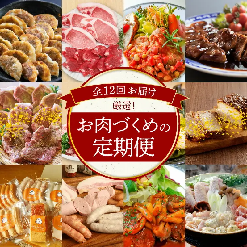 碧南市がチョイスした厳選定期便！ 【全12回】厳選！お肉づくめの定期便(毎月お届け） 　H028-091