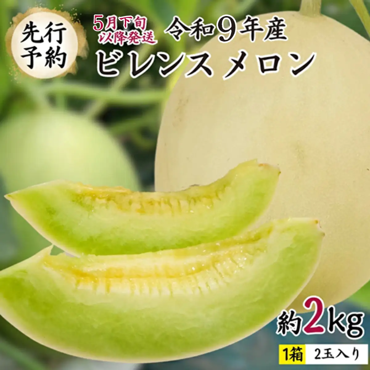 【先行予約】ビレンスメロン 約2kg（2玉） [AV007ya] 5月下旬発送 メロン 青肉メロン 果物 フルーツ 夏 ギフト