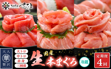 定期便 ≪4カ月連続お届け≫ おすすめ！まぐろの王様！生本まぐろ 食べ比べ 定期便 計4回 【 大とろ  中トロ 赤身 刺身 冷蔵 お取り寄せ グルメ】  [e04-c017]