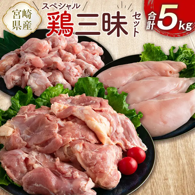 宮崎県産鶏肉 スペシャル鶏三昧セット 合計5kg【B607-2505】