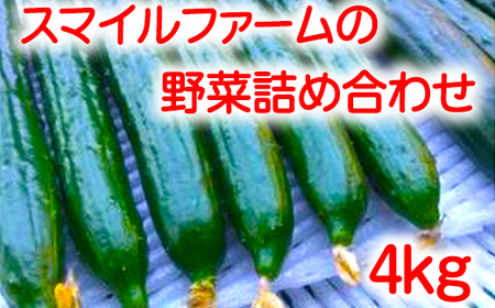朝採りきゆうり4kg【FM01W2】 野菜 新鮮