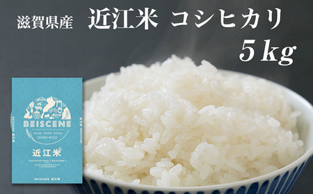 コシヒカリ お米 5kg 精米 令和7年産 コシヒカリ