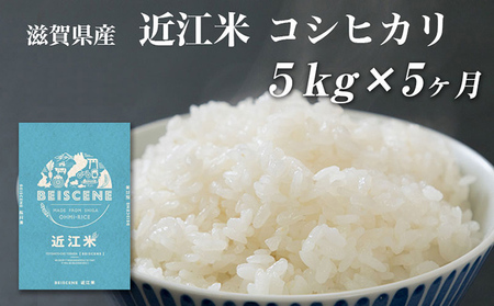 コシヒカリ お米 5kg 精米 定期5ヶ月 コシヒカリ