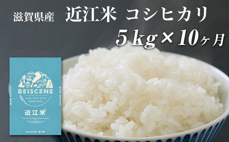 コシヒカリ お米 5kg 精米 定期10ヶ月 コシヒカリ