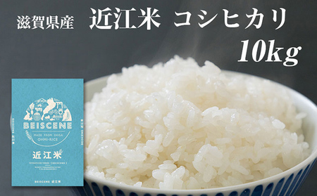コシヒカリ お米 10kg 精米 令和7年産 コシヒカリ