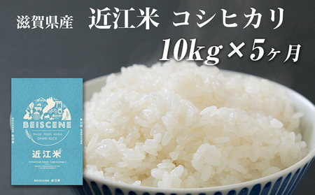 コシヒカリ お米 10kg 精米 定期5ヶ月 コシヒカリ