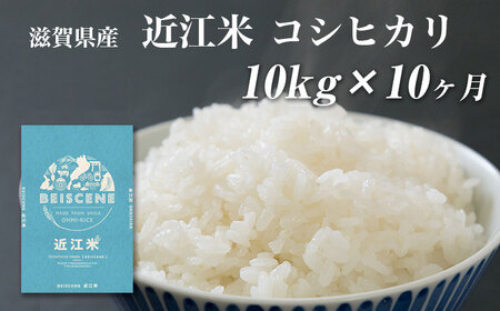コシヒカリ お米 10kg 精米 定期10ヶ月 コシヒカリ