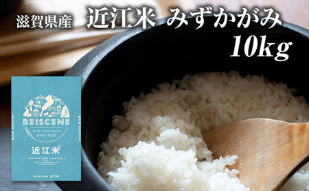 お米 みずかがみ 10kg 精米 令和7年産 近江米 お米