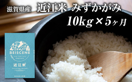 お米 みずかがみ 10kg 精米 定期便 5ヶ月 お米
