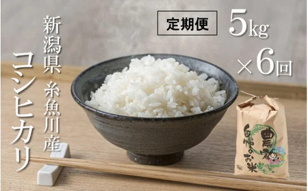 【6ヶ月定期便】新潟県産コシヒカリ5kg×6ヶ月(合計30kg)プロが認める棚田米 令和6年産 糸魚川 能生谷産こしひかり