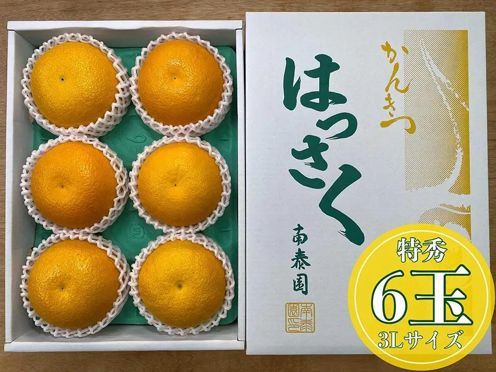 化粧箱 手詰め 有田 はっさく 特秀 大玉 3L サイズ × 6玉入 南泰園 みかん