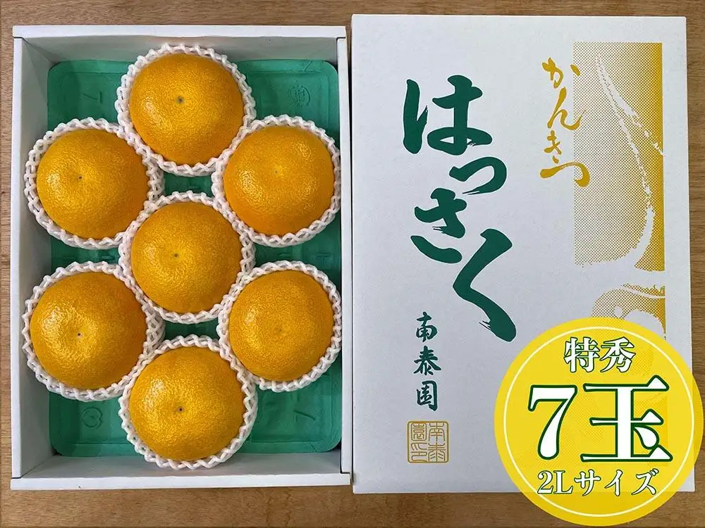 化粧箱 手詰め 有田 はっさく 特秀 大玉 2L サイズ × 7玉入 南泰園 みかん