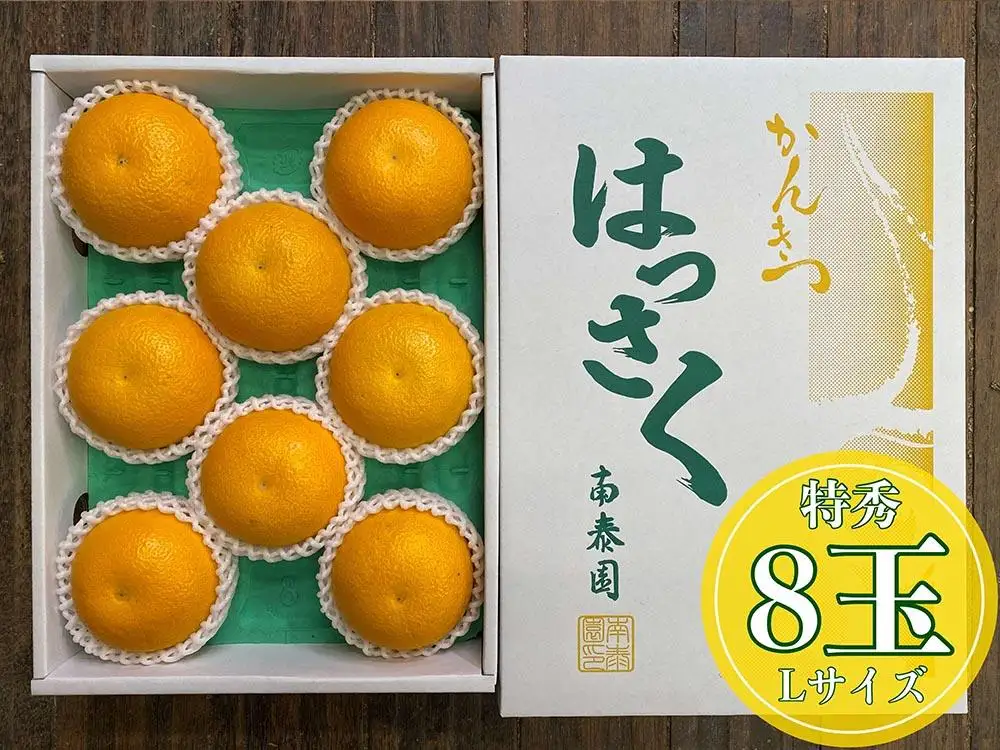 化粧箱 手詰め 有田 はっさく 特秀 L サイズ × 8玉入 南泰園 みかん