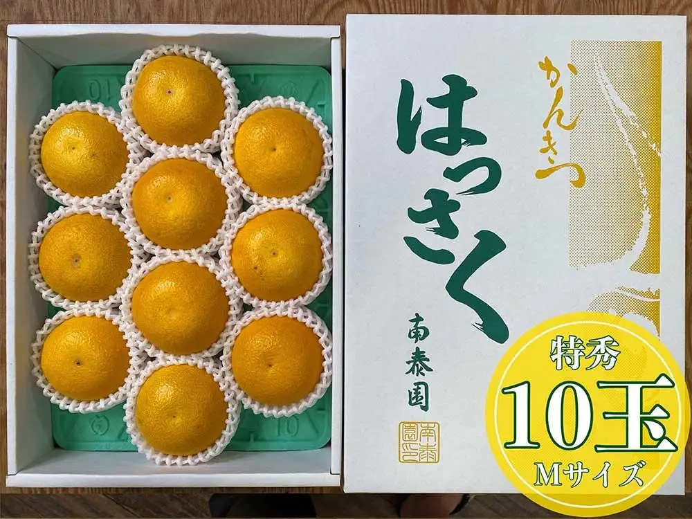 化粧箱 手詰め 有田 はっさく 特秀 M サイズ × 10玉入 南泰園 みかん