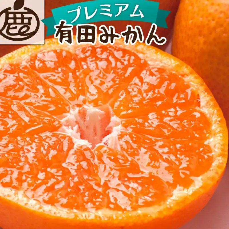 【先行予約】プレミアム 有田みかん（完熟）5kg+250g（傷み補償分）※北海道・沖縄・離島配送不可 / みかん ミカン くだもの 果物 柑橘 フルーツ 和歌山 有田みかん 【ikd114D】