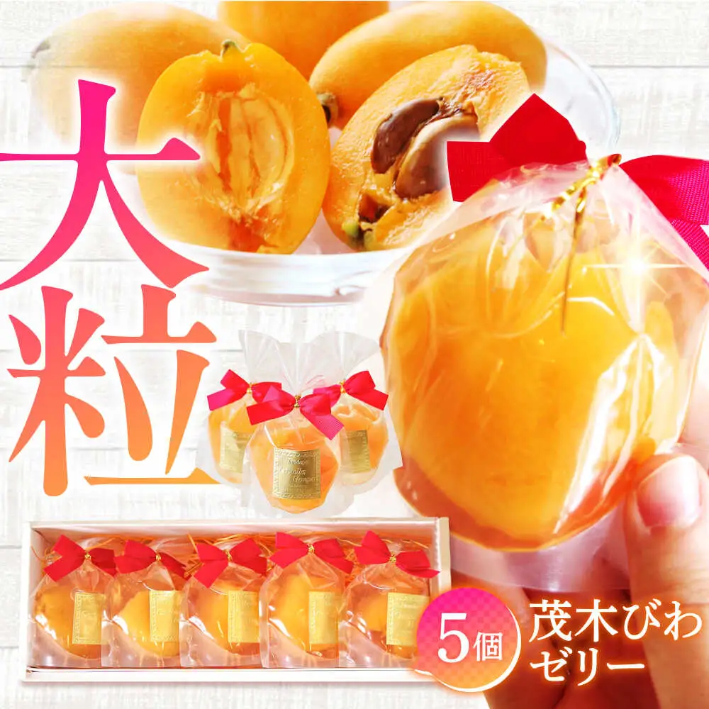 【2026年5月上旬-発送】【夏季限定】茂木びわ ゼリー 5個入 / びわ ビワ ゼリー フルーツ 果物 ギフト 贈答 お中元 / 南島原市 / 本田屋かすてら本舗 [SAW039]