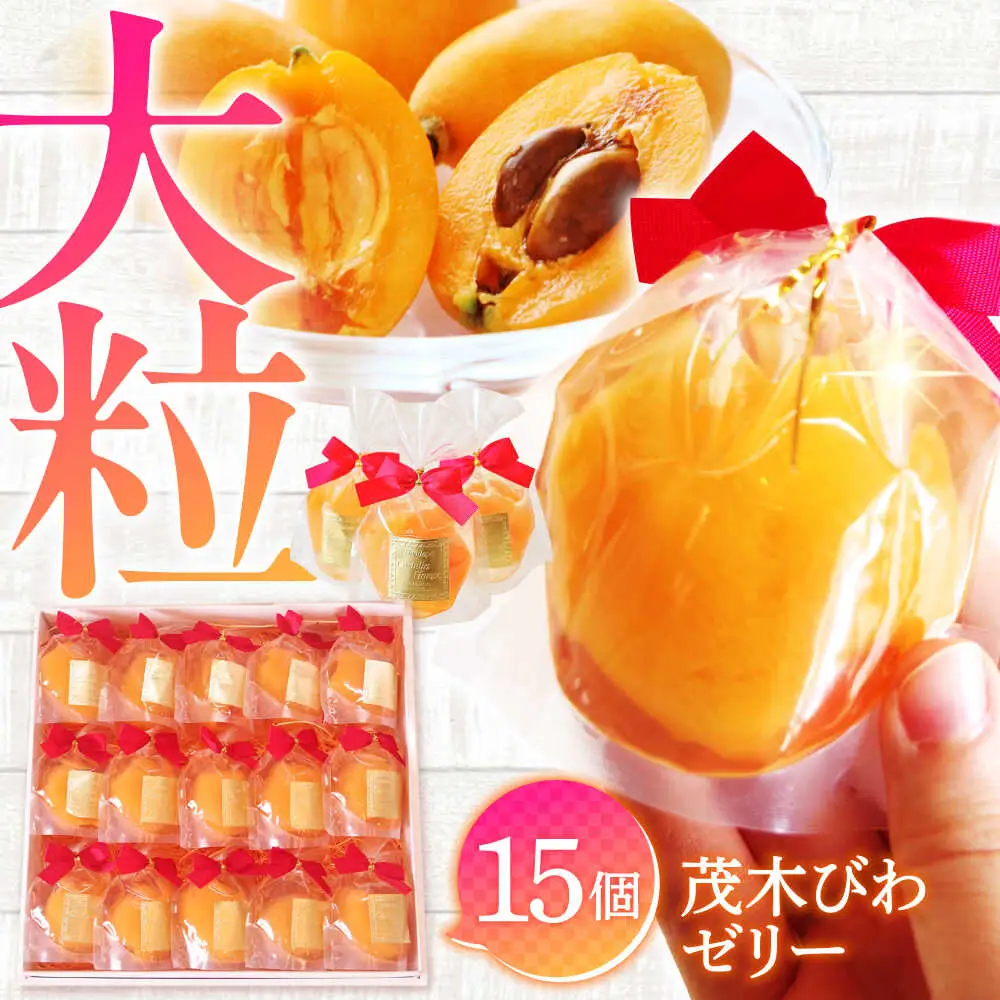 【2026年5月上旬-発送】【夏季限定】茂木びわ ゼリー 15個入 / びわ ビワ ゼリー フルーツ 果物 ギフト 贈答 お中元 / 南島原市 / 本田屋かすてら本舗 [SAW041]