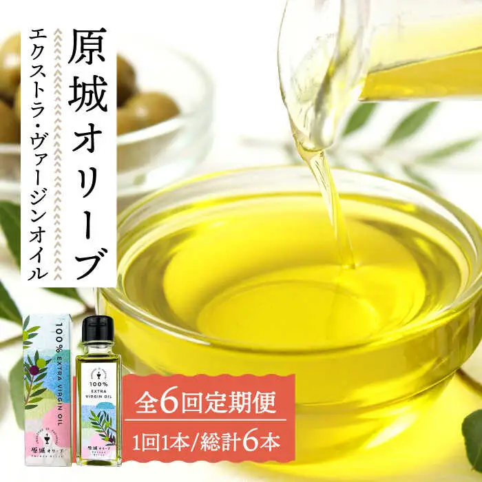 【6回定期便】 原城 オリーブ エクストラ・ヴァージンオイル  100ml 1本 / オリーブオイル オイル 油 調味料 / 南島原市 / ミナサポ [SCW055]