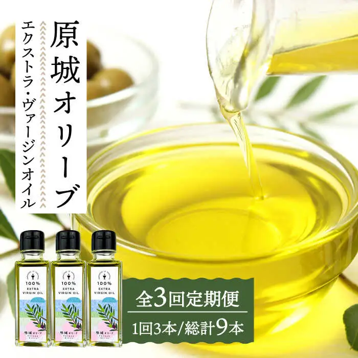 【3回定期便】 原城 オリーブ エクストラ・ヴァージンオイル  100ml 3本 / オリーブオイル オイル 油 調味料 / 南島原市 / ミナサポ [SCW057]