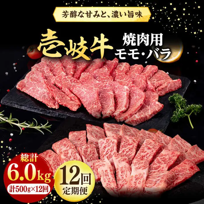 【全12回定期便】 壱岐牛 焼肉用 モモ・バラ（カルビ） 500g《壱岐市》【株式会社イチヤマ】 肉 牛肉 焼肉 モモ バラ カルビ BBQ [JFE082] 252000 252000円