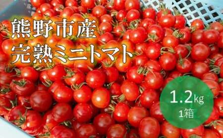 【2027年1月以降配送】熊野薬草園のミニトマト（1.2kg） 【kmys0001A】