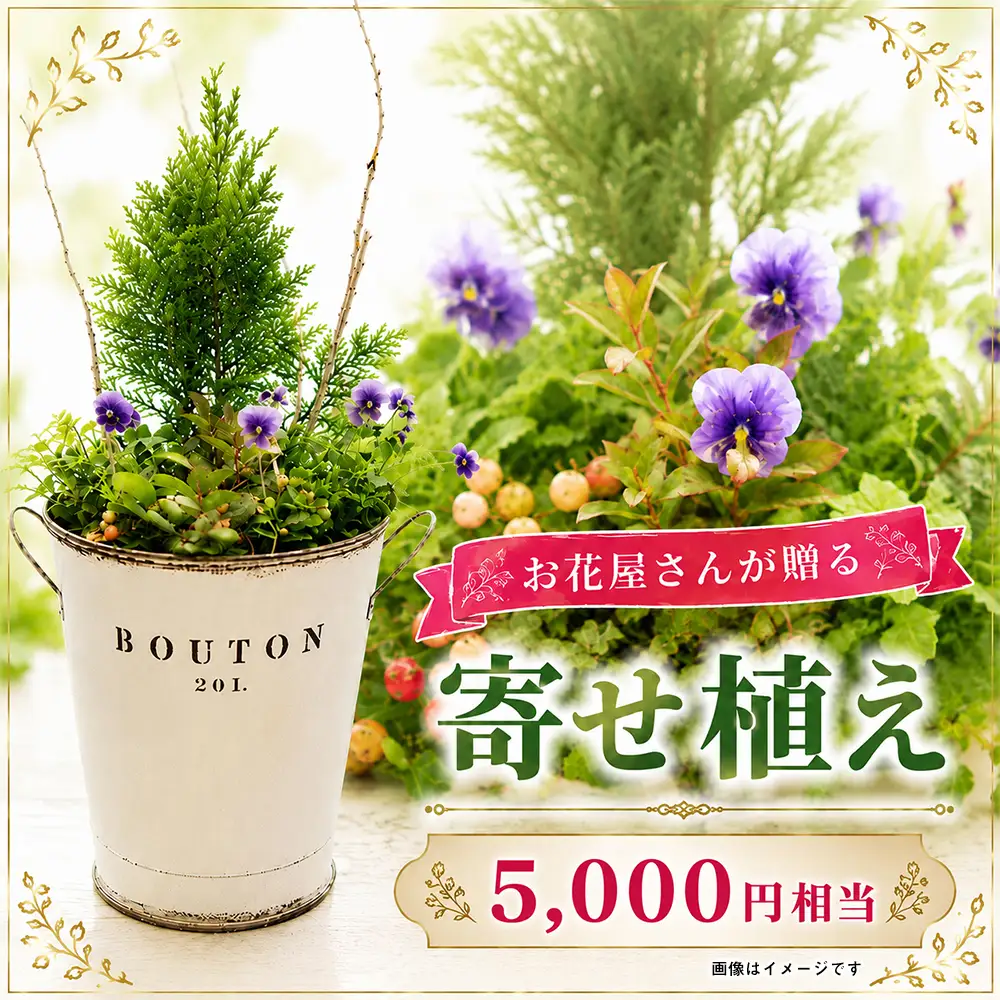オリジナル 寄せ植え 5000円相当｜母の日 誕生日 花ギフト 「百花-MoKa-」