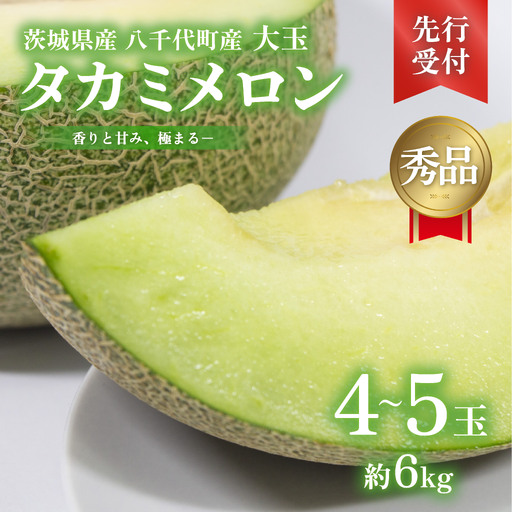 【先行予約】メロン タカミメロン 秀品 4~5玉 約6kg 八千代町産