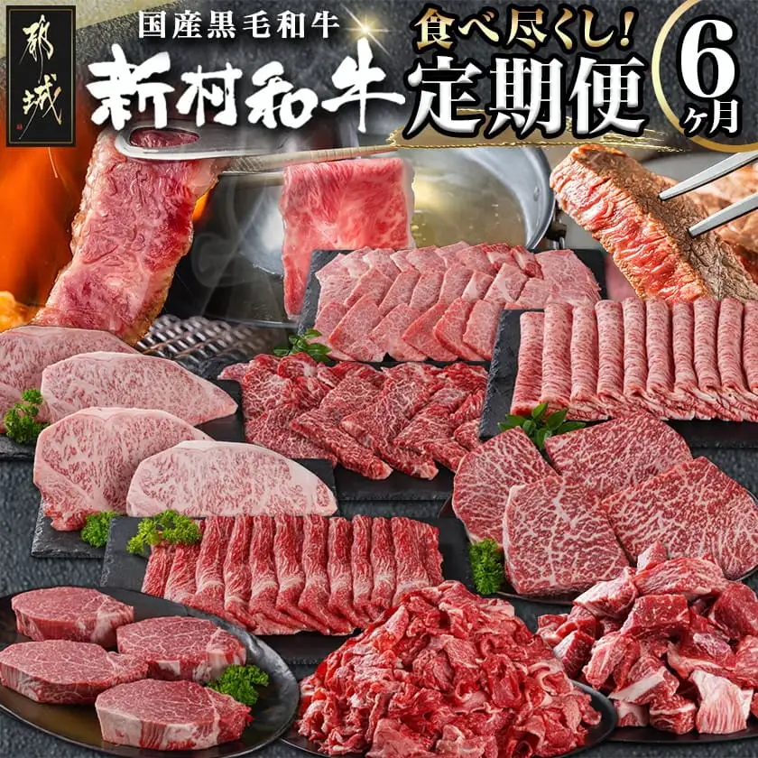 黒毛和牛を知り尽くす!食べ尽くし6ヶ月定期便〔TAI6-4201〕_(都城市) 国産 黒毛和牛 和牛 サーロインステーキ モモスライス 小間切り落とし 角切り煮込み用 霜降りカルビ 赤身カルビ ローススライス ヒレステーキ 定期便