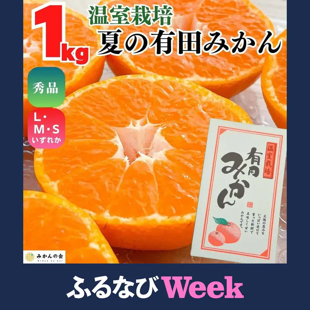 【ふるなびWEEK対象】【5月出荷予定】ハウスみかん 温室栽培 夏の有田みかん 1kg 秀品 S・M・Lサイズのいずれか 和歌山県 産地直送 みかんの会