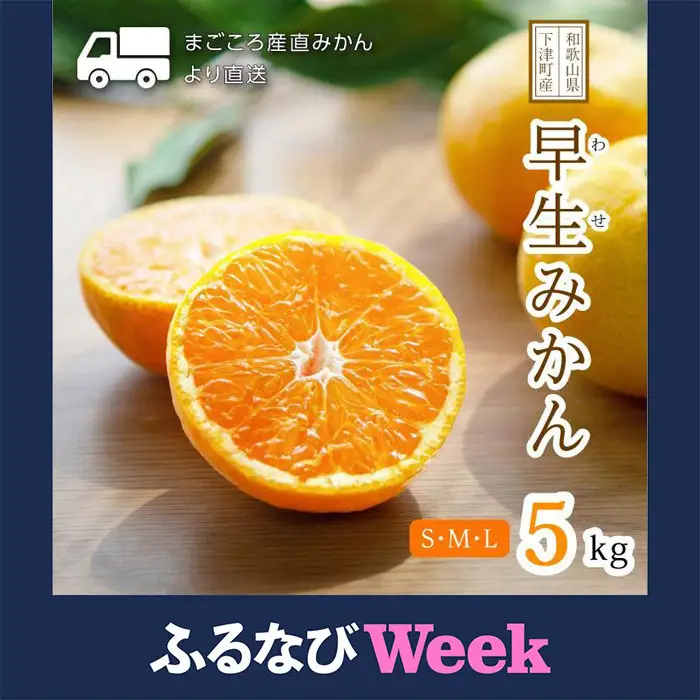 【ふるなびWEEK対象】早生みかん 約5kg S・M・Lサイズおまかせ 《赤秀》 和歌山県産 農園直送 まごころ産直みかん 【11月中旬頃発送開始】【北海道・沖縄県・一部離島 配送不可】 果物 柑橘 贈答 Sサイズ Mサイズ