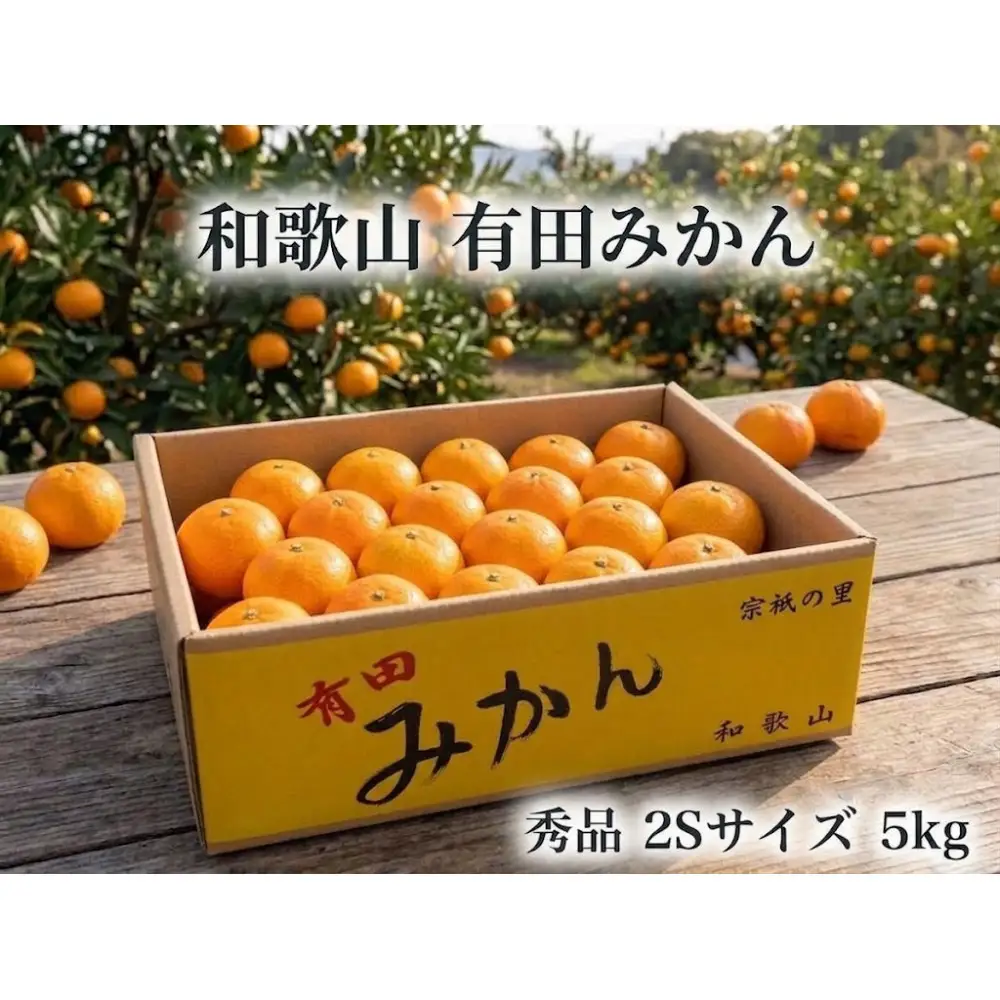 ［秀品・サイズ２Ｓ］まる隆果樹園　和歌山有田産！早生みかん≪5ｋｇ≫［予約販売］［数量限定］