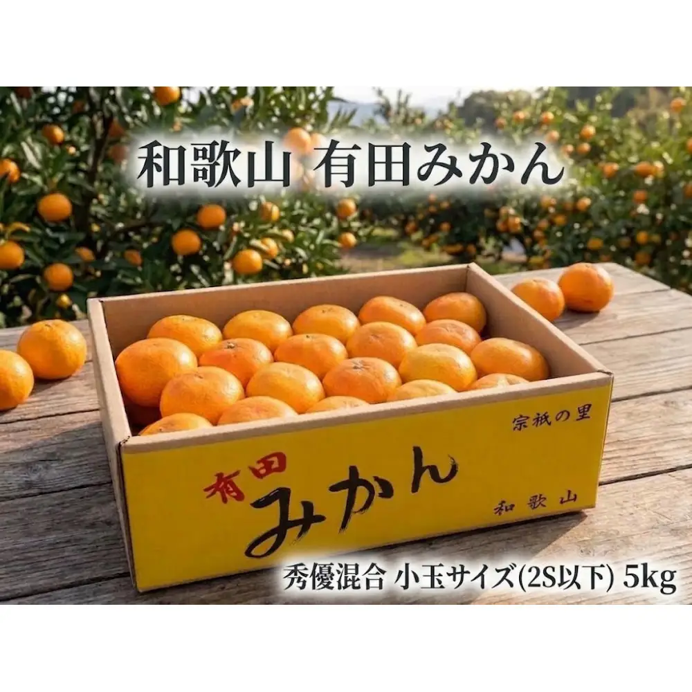 ［小玉サイズ(３Ｓ・２Ｓ）・秀／優混合］まる隆果樹園　和歌山有田産！早生みかん≪5kg≫［予約販売］［数量限定］