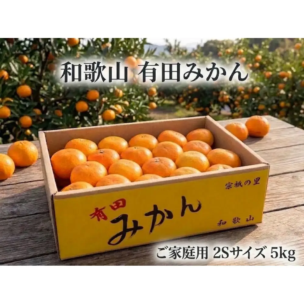 ［ご家庭用・サイズ２Ｓ］早生みかん≪5kg≫和歌山有田産！［予約販売］［数量限定］まる隆果樹園