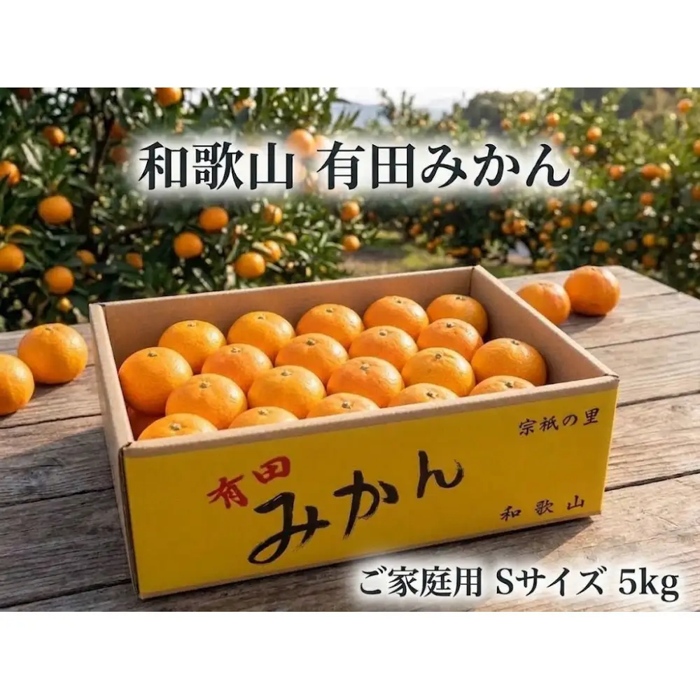 ［ご家庭用・サイズＳ］和歌山有田産！早生みかん≪5kg≫［予約販売］［数量限定］まる隆果樹園　