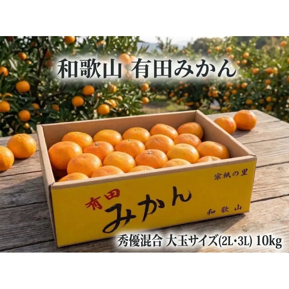 ［大玉サイズ(２Ｌ・３Ｌ）・秀／優混合］早生みかん≪10kg≫和歌山有田産！［予約販売］［数量限定］まる隆果樹園
