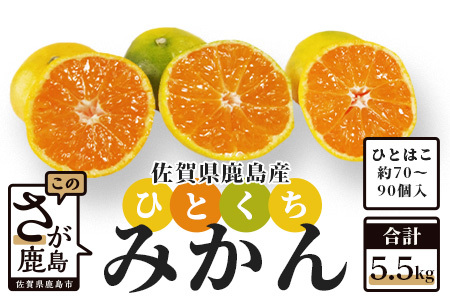 AA-37 毎年大人気！【先行受付】《10月頃からお届け》平倉果樹園のひとくちみかん約5.5kg｜鹿島産 小玉みかん（5cm前後）｜贈答用・お取り寄せ ギフト｜温州みかん「ゆら」｜九州 佐賀県 鹿島市産