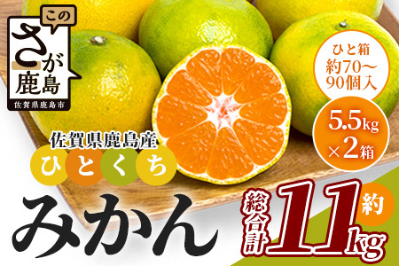 B-632 毎年大人気！【先行受付】《10月頃からお届け》平倉果樹園のひとくちみかん5.5kg×2箱（約11kg）｜鹿島産 小玉みかん（5cm前後）｜贈答用・お取り寄せ ギフト｜温州みかん「ゆら」