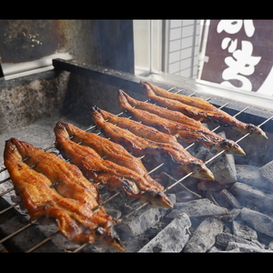[冷蔵配送] 備長炭手焼き国産うなぎ1尾 (160g～170g) ※北海道・沖縄・離島への配送不可 [3562]