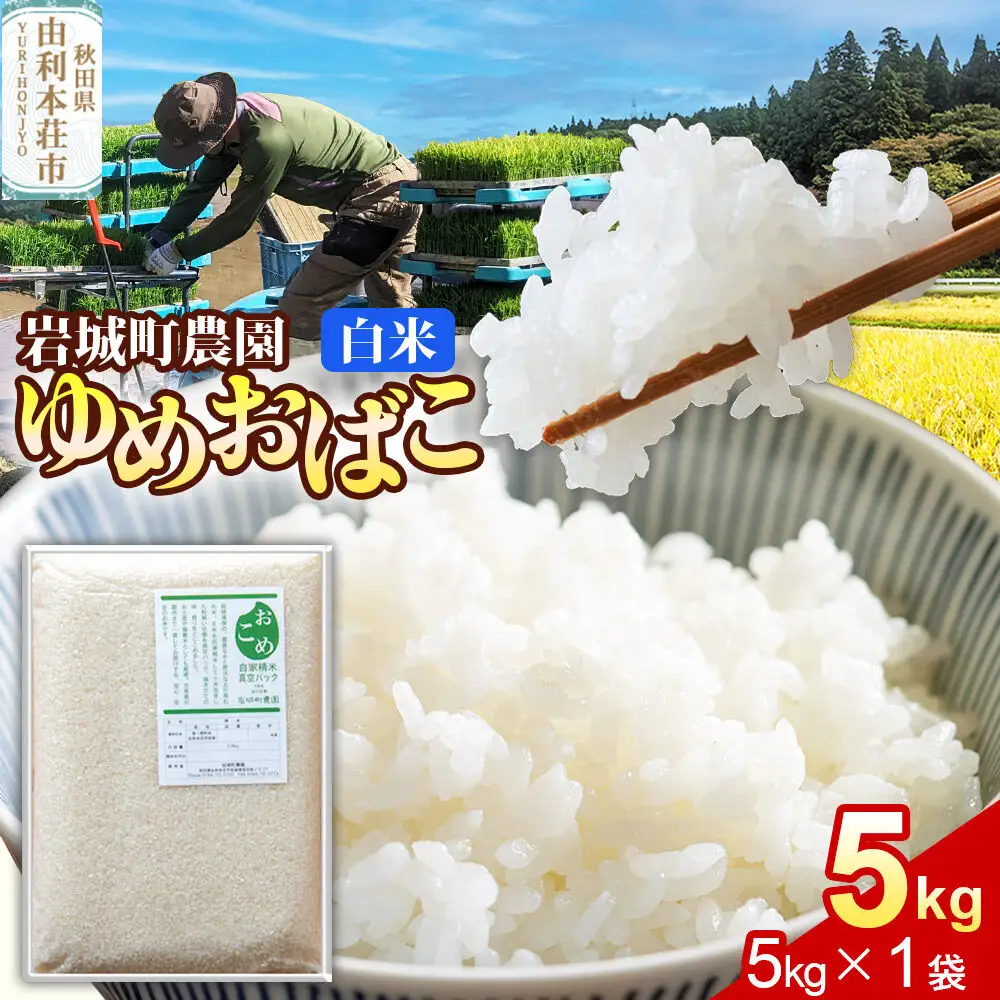 【白米】ゆめおばこ 秋田県産 岩城町農園のゆめおばこ 5kg（5kg×1袋）令和7年産 真空パック
