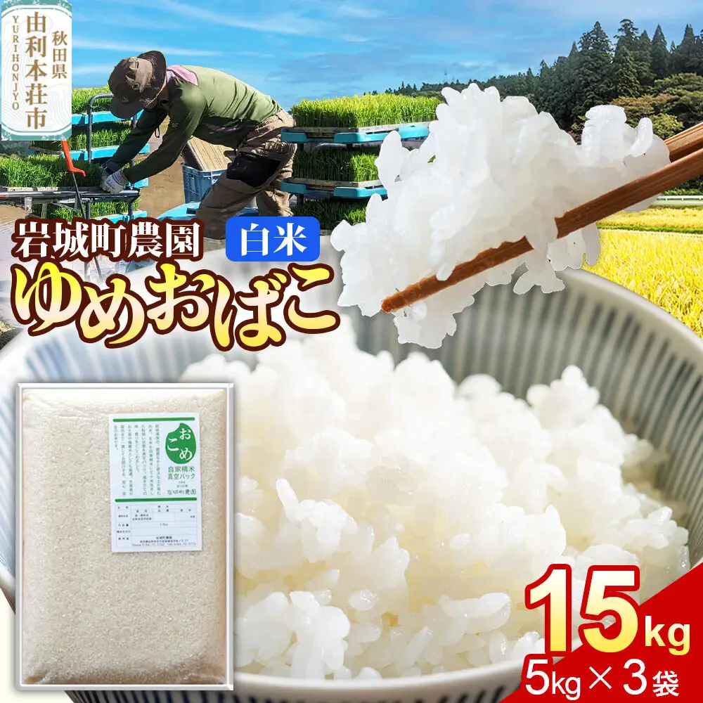 【白米】ゆめおばこ 秋田県産 岩城町農園のゆめおばこ 15kg（5kg×3袋）令和7年産 真空パック