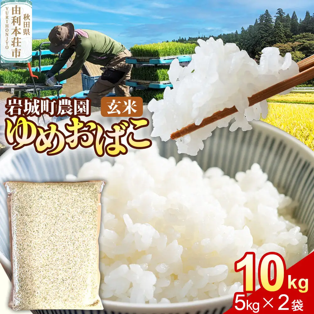【玄米】ゆめおばこ 秋田県産 岩城町農園のゆめおばこ 10kg（5kg×2袋）令和7年産 真空パック
