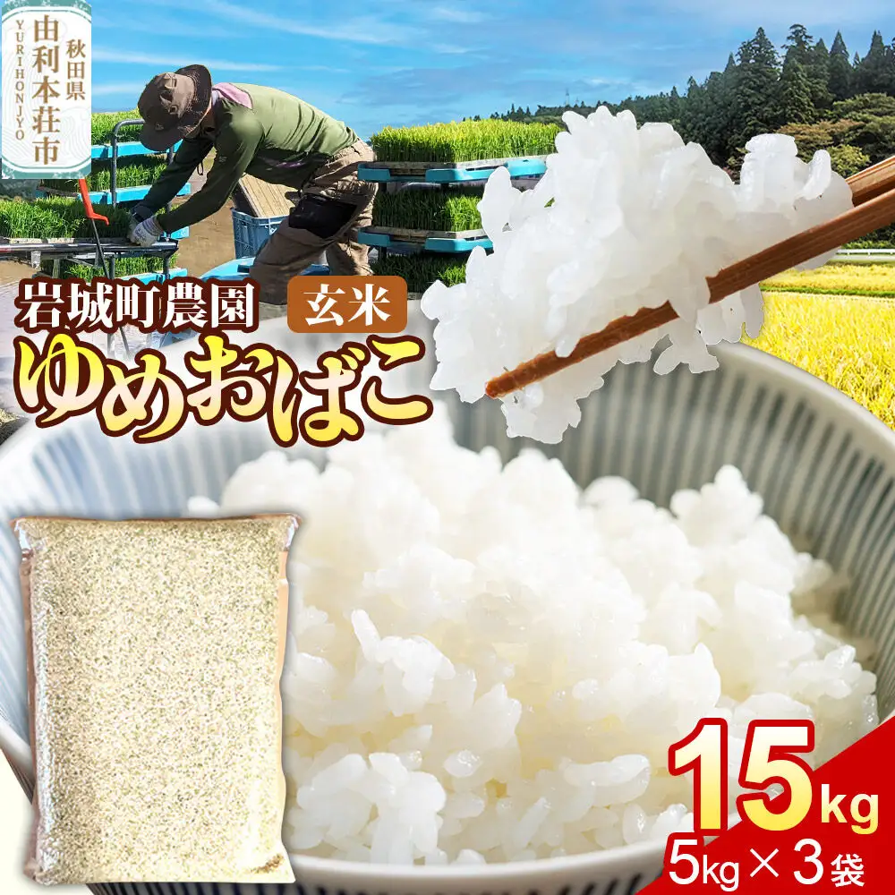 【玄米】ゆめおばこ 秋田県産 岩城町農園のゆめおばこ 15kg（5kg×3袋）令和7年産 真空パック