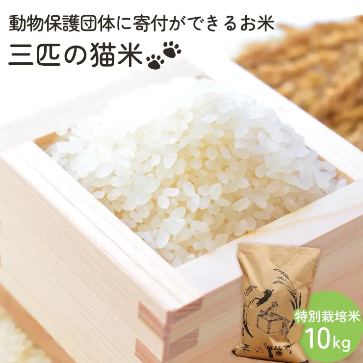 三匹の猫米/動物保護に携われる/特別栽培米 10kg