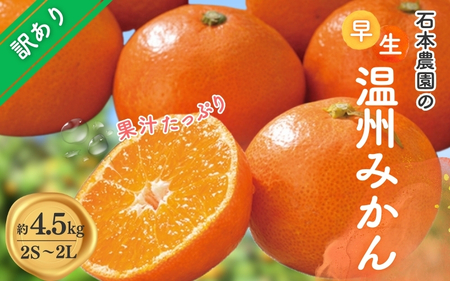 みかん 訳あり 石本農園の早生温州みかん 約4.5kg【2S-2Lサイズおまかせ】【mis014B】