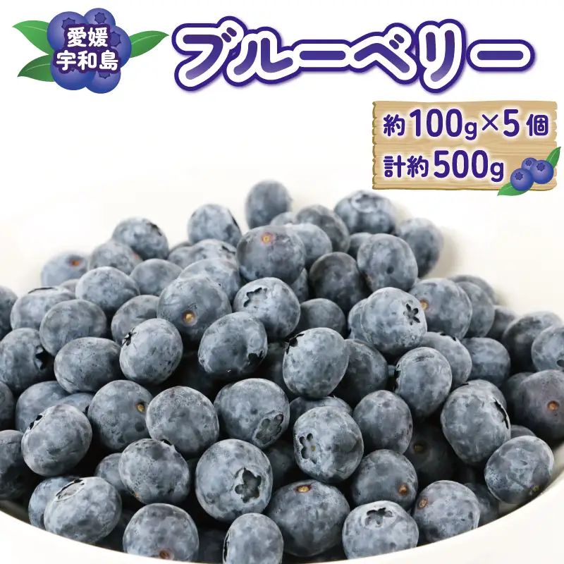 ブルーベリー500g マスタニ農園 ベリー F014-136001