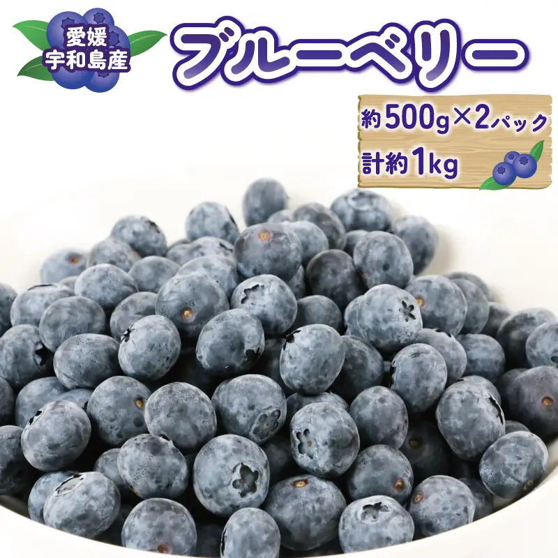 ブルーベリー1kg マスタニ農園 ベリー F020-136002