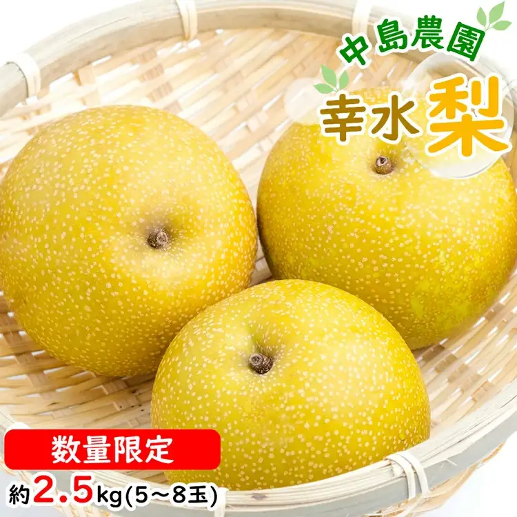 BH004 【令和9年度出荷分】【数量限定】 幸水梨 約2.5kg（5玉～8玉）