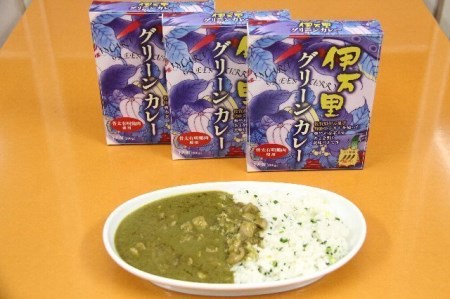 【一村逸品大賞受賞】伊万里グリーンカレー8食 002-G087